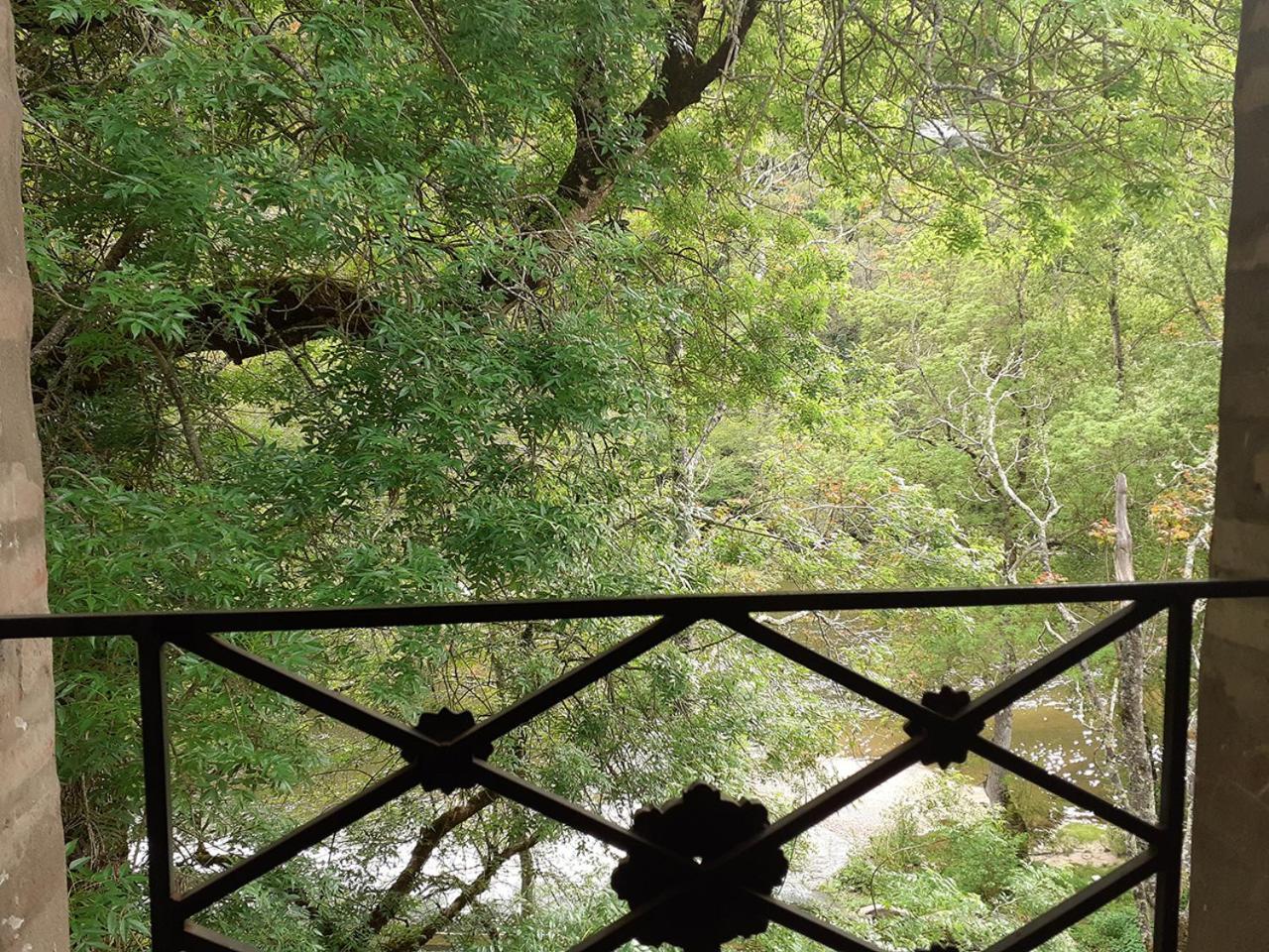 Le Moulin De Saleth Hotel Saint-Antonin-Noble-Val Bilik gambar